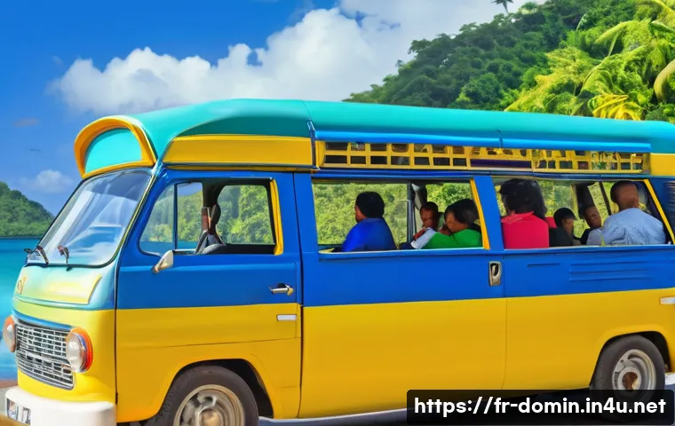 도미니카 연방 대중교통 시스템 관련 이미지 2