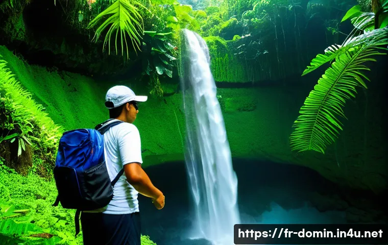 도미니카 연방 환승 시 주의사항 관련 이미지 1