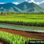 도미니카 연방 주요 산업 - A vibrant Dominican Republic agricultural landscape featuring vast sugarcane plantations under a bri...